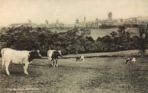 Asylum, Menston